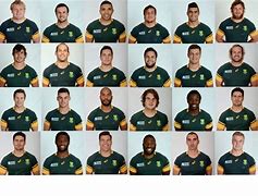 Image result for South African Rugby World Cup Squad