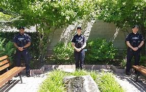 Image result for Town of Windsor Police