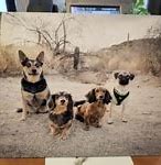 Image result for Mpix Metal Prints 16X20