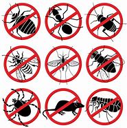 Image result for Pest Control Services Images