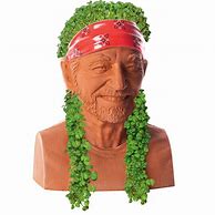 Image result for Classic Chia Pet