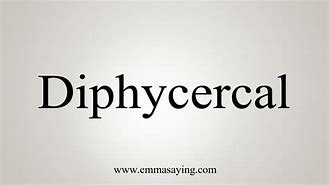 Image result for Diphycercal