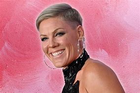 Image result for Pink Singer Today