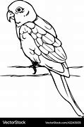 Image result for Minecraft Parrot Black and White