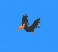 Image result for Crazy Crow GIF