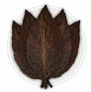 Image result for Tobacco Leaf with Plume