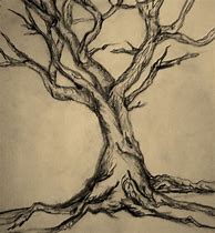 Image result for Tree Pencil Clear Sketch