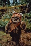 Image result for Wookie Ewok