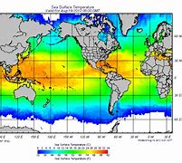 Image result for Biome Rapace