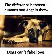 Image result for Dog and Human Quotes