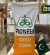 Image result for Corn Seed Logo