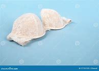 Image result for Light Pink Lace Bra