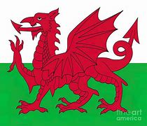 Image result for Red Dragon Welsh Flag