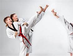 Image result for Taekwondo Kick Cross