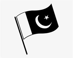 Image result for Bla Flag