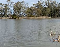 Image result for Cohuna Pier