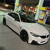 Image result for Drip Cat in BMW M4 PFP