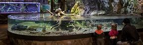 Image result for Cafe Ohio Aquarium Event