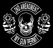 Image result for Skull and Gun Decals