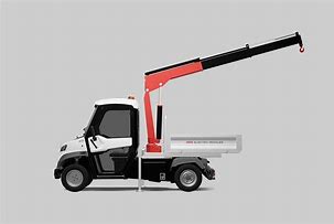 Image result for Mini Crane Truck