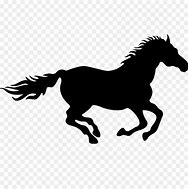 Image result for Riding Fast Horse with Sombraro On