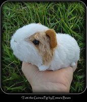 Image result for Guinea Pig Plushie