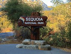 Image result for Sequoia National Park Entrance