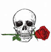 Image result for Skull Panda Rose