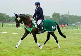 Image result for Ror Horses