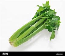 Image result for Fresh Celery Stalk