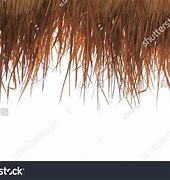 Image result for Palm Thatch Roof