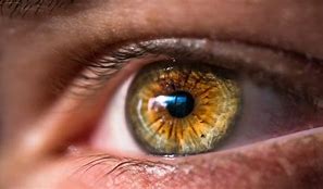 Image result for Red Hazel Eyes