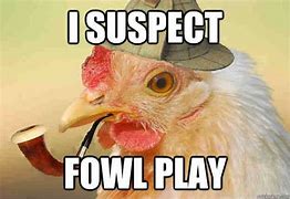 Image result for Crazy Chicken Meme