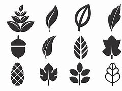 Image result for Round Leaf Vector Free