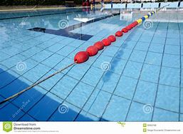 Image result for 2 Lane Swimming Pool