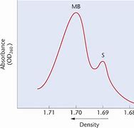 Image result for Satelliate DNA