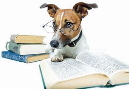 Image result for Animal Studying