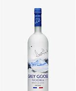 Image result for Small Grey Goose Species