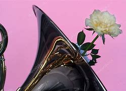 Image result for Pink French Horn