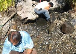 Image result for Aquascape Pond