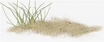 Image result for Free Beach Grass Clip Art