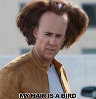 Image result for Memes On Nick Cage