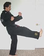 Image result for Front Snap Kick