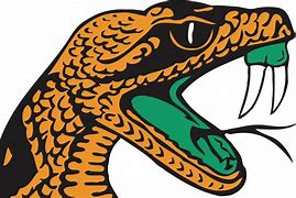 Image result for FAMU Snake PNG