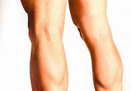 Image result for Calves Basketball