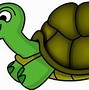 Image result for Calinder On Turtle Back