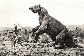 Image result for Ground Sloth Extinct