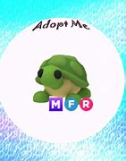 Image result for Pink Turtle AdoptMe