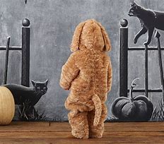 Image result for Baby Dog Costume