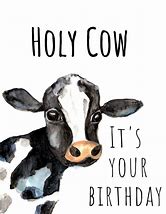 Image result for Happy Birthday Cow